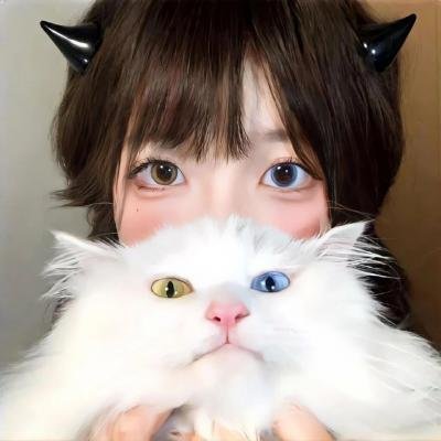 钢铁勋章
